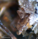 Eifel Mineralien Graulei Batisit