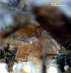Eifel Mineralien Graulei Batisit
