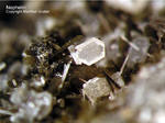 Eifel Mineralien Graulei Nephelin