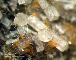 Eifel Mineralien Graulei Nephelin