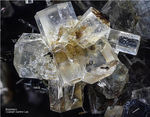Eifel Mineralien Graulei Nephelin