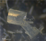 Eifel Mineralien Graulei Nephelin