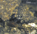 Eifel Mineralien Graulei Phlogopit