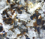 Eifel Mineralien Graulei Phlogopit