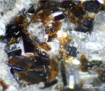 Eifel Mineralien Graulei Phlogopit