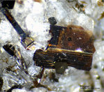 Eifel Mineralien Graulei Phlogopit