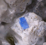 Eifel Mineralien Graulei Scottyit