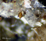 Eifel Mineralien Liley Löhley Lileyit 
