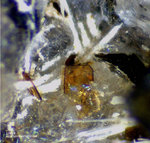 Eifel Mineralien Liley Löhley Lileyit 