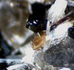 Eifel Mineralien Liley Löhley Lileyit 