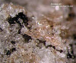 Mineralien Eifel Mendig Andalusit