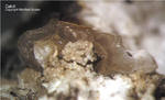 Eifel Mineralien Mendig Calcit