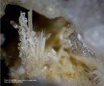 Eifel Mineralien Mendig Calcit