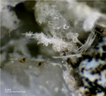 Eifel Mineralien Mendig Calcit