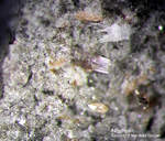 Eifel Mineralien Mendig Nephelin