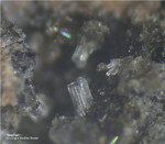 Eifel Mineralien Mendig Nephelin