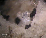 Eifel Mineralien Mendig Nosean