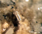 Eifel Mineralien Mendig Nosean