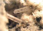 Eifel Mineralien Mendig Nosean