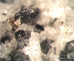 Eifel Mineralien Mendig Nosean