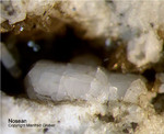 Eifel Mineralien Mendig Nosean