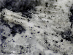 Eifel Mineralien Mendig Sillimanit