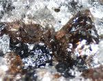 Eifel Mineralien Mendig Spessartin