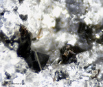 Eifel Mineralien Mendig Spinell