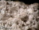 Eifel Mineralien Nickenicher Sattel Topas