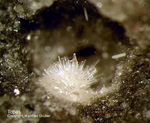 Eifel Mineralien Nickenicher Sattel Topas