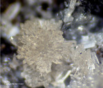 Eifel Mineralien Nickenicher Sattel Topas