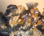 Eifel Mineralien Rothenberg Haematit