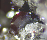 Eifel Mineralien Rothenberg Haematit
