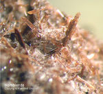 Eifel Mineralien Rothenberg Hornblende