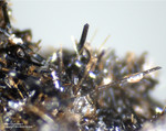 Eifel Mineralien Rothenberg Klinopyroxen
