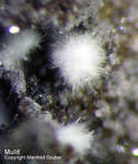 Eifel Mineralien Rothenberg Mullit