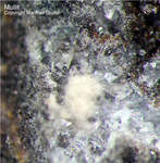 Eifel Mineralien Rothenberg Mullit