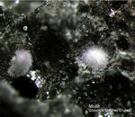 Eifel Mineralien Rothenberg Mullit