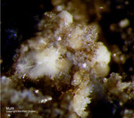 Eifel Mineralien Rothenberg Mullit