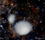Eifel Mineralien Rothenberg Mullit