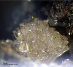 Eifel Mineralien Rothenberg Topas