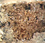 Eifel Mineralien Schellkopf Analcim