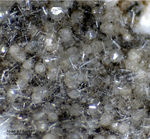 Eifel Mineralien Schellkopf Apatit