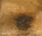 Odenwald Mineralien Reichenbach Borstein Coronadit