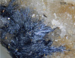 Odenwald Mineralien Reichenbach Borstein Coronadit