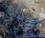 Odenwald Mineralien Reichenbach Borstein Coronadit