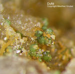 Odenwald Mineralien Reichenbach Borstein Duftit