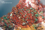Odenwald Mineralien Reichenbach Borstein Duftit