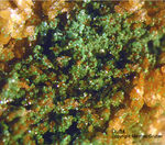 Odenwald Mineralien Reichenbach Borstein Duftit
