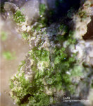 Odenwald Mineralien Reichenbach Borstein Duftit